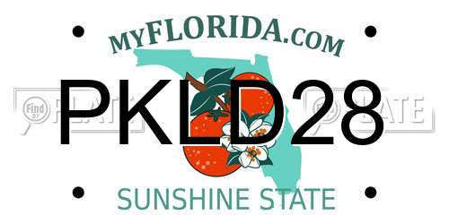 PKLD28 Florida License Plate