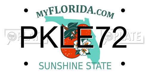 PKLE72 Florida License Plate