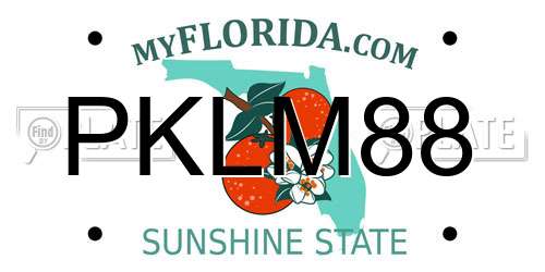 PKLM88 Florida License Plate