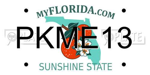 PKME13 Florida License Plate