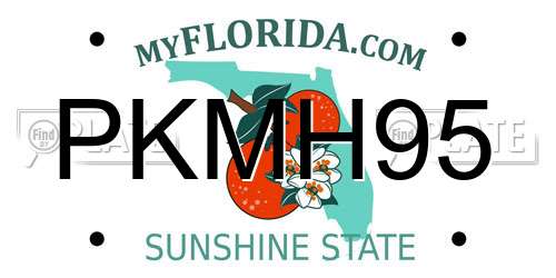 PKMH95 Florida License Plate
