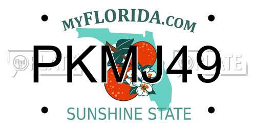 PKMJ49 Florida License Plate