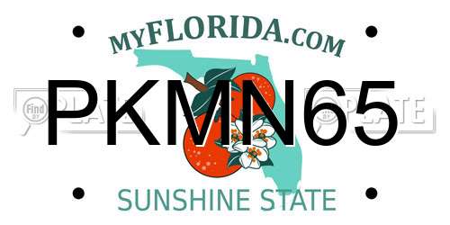 PKMN65 Florida License Plate