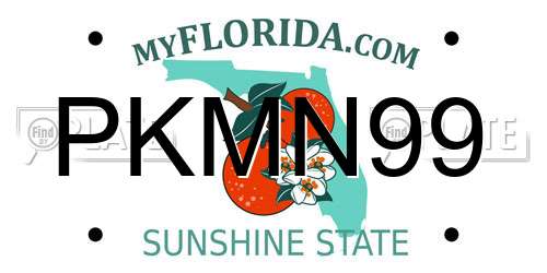 PKMN99 Florida License Plate