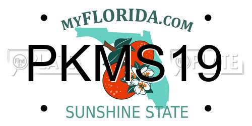 PKMS19 Florida License Plate