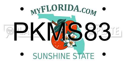 PKMS83 Florida License Plate