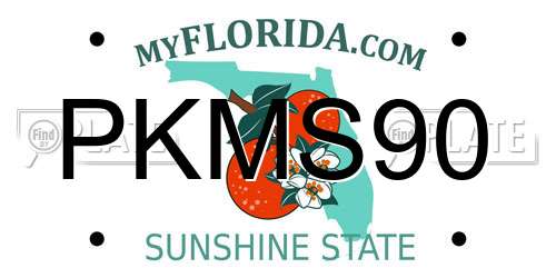 PKMS90 Florida License Plate