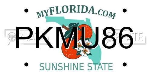 PKMU86 Florida License Plate