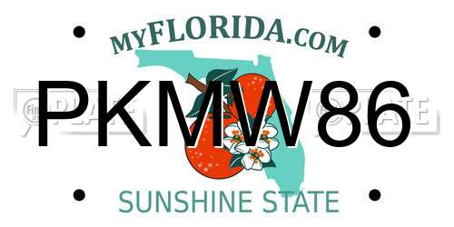 PKMW86 Florida License Plate
