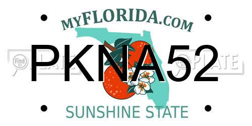 PKNA52 Florida License Plate