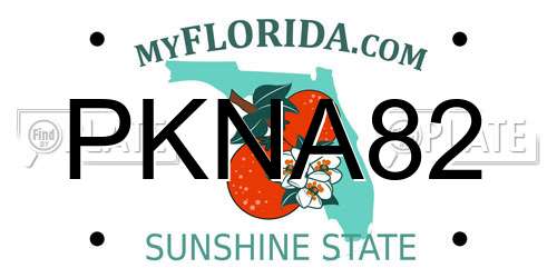 PKNA82 Florida License Plate