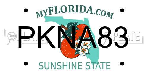 PKNA83 Florida License Plate