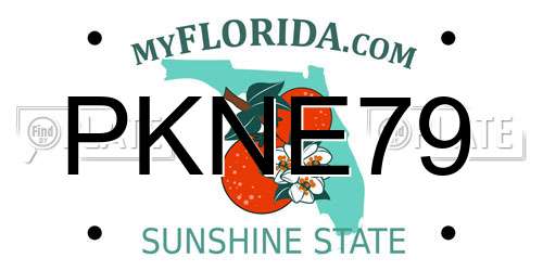PKNE79 Florida License Plate