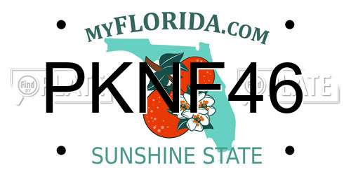 PKNF46 Florida License Plate