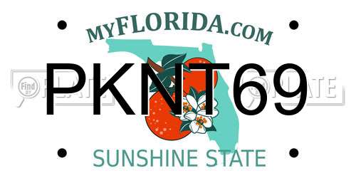 PKNT69 Florida License Plate