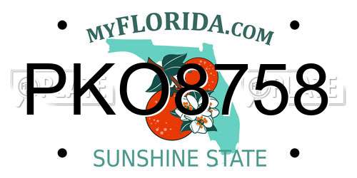 PKO8758 Florida License Plate