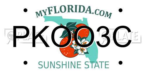 PKOO3C Florida License Plate