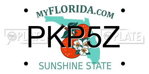 PKP5Z Florida License Plate