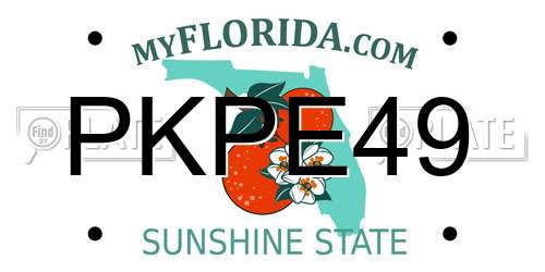 PKPE49 Florida License Plate