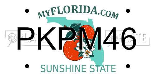 PKPM46 Florida License Plate