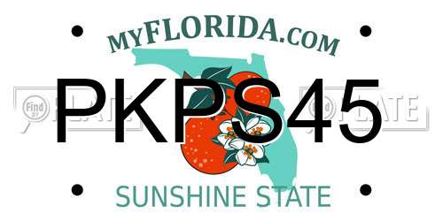 PKPS45 Florida License Plate
