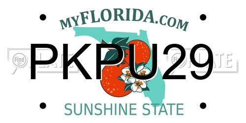 PKPU29 Florida License Plate