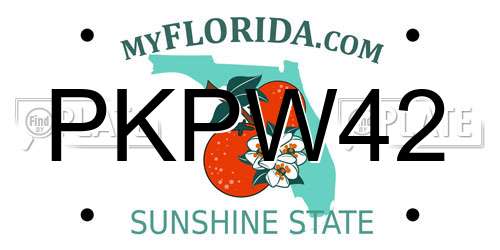 PKPW42 Florida License Plate