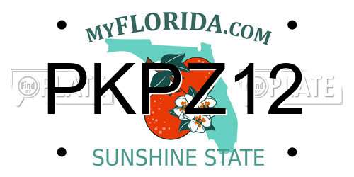PKPZ12 Florida License Plate