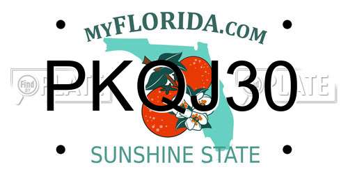 PKQJ30 Florida License Plate