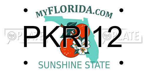 PKRI12 Florida License Plate