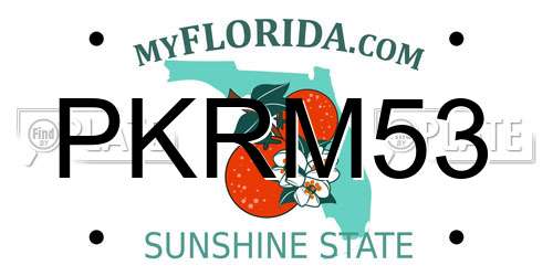 PKRM53 Florida License Plate