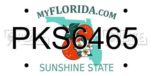 PKS6465 Florida License Plate