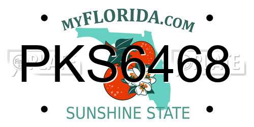 PKS6468 Florida License Plate