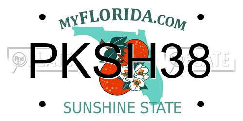 PKSH38 Florida License Plate
