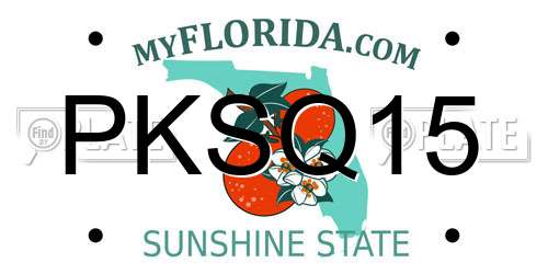 PKSQ15 Florida License Plate