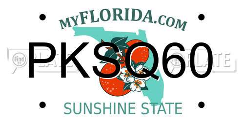 PKSQ60 Florida License Plate