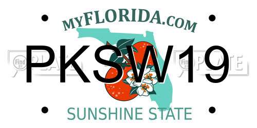 PKSW19 Florida License Plate