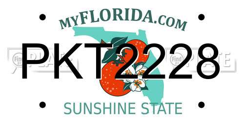 PKT2228 Florida License Plate