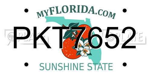 PKT7652 Florida License Plate