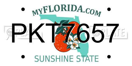 PKT7657 Florida License Plate