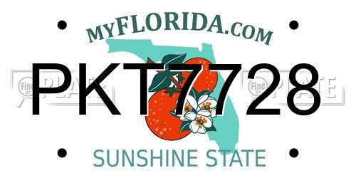 PKT7728 Florida License Plate