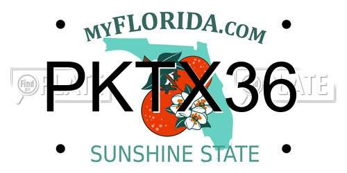 PKTX36 Florida License Plate