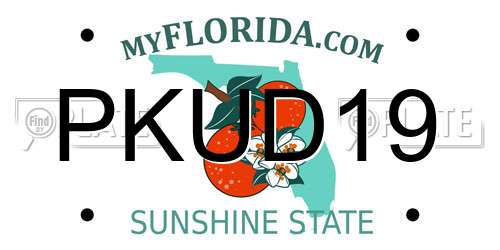 PKUD19 Florida License Plate