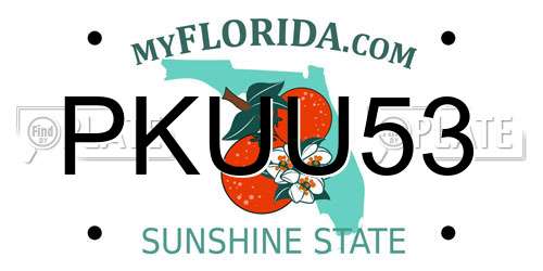 PKUU53 Florida License Plate