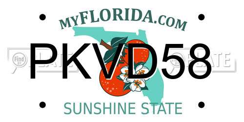 PKVD58 Florida License Plate