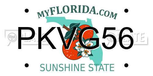 PKVG56 Florida License Plate