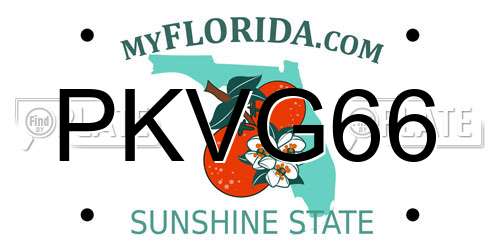 PKVG66 Florida License Plate