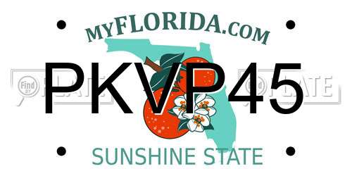 PKVP45 Florida License Plate