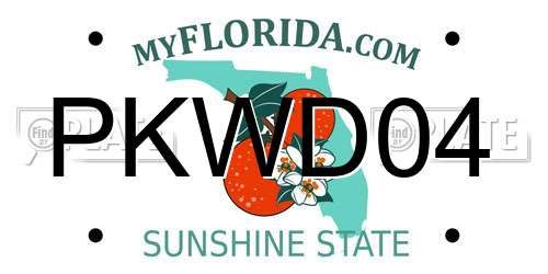 PKWD04 Florida License Plate