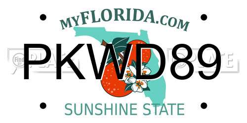 PKWD89 Florida License Plate